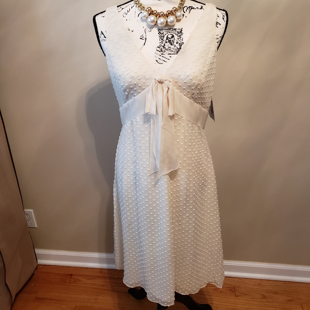 Ladies dress